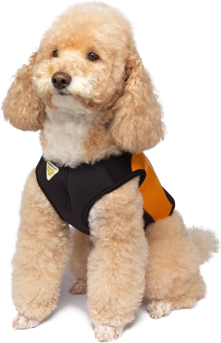 Cressi DWS Dog 3mm Wetsuit [2XS, combinaisons humides – vue 2