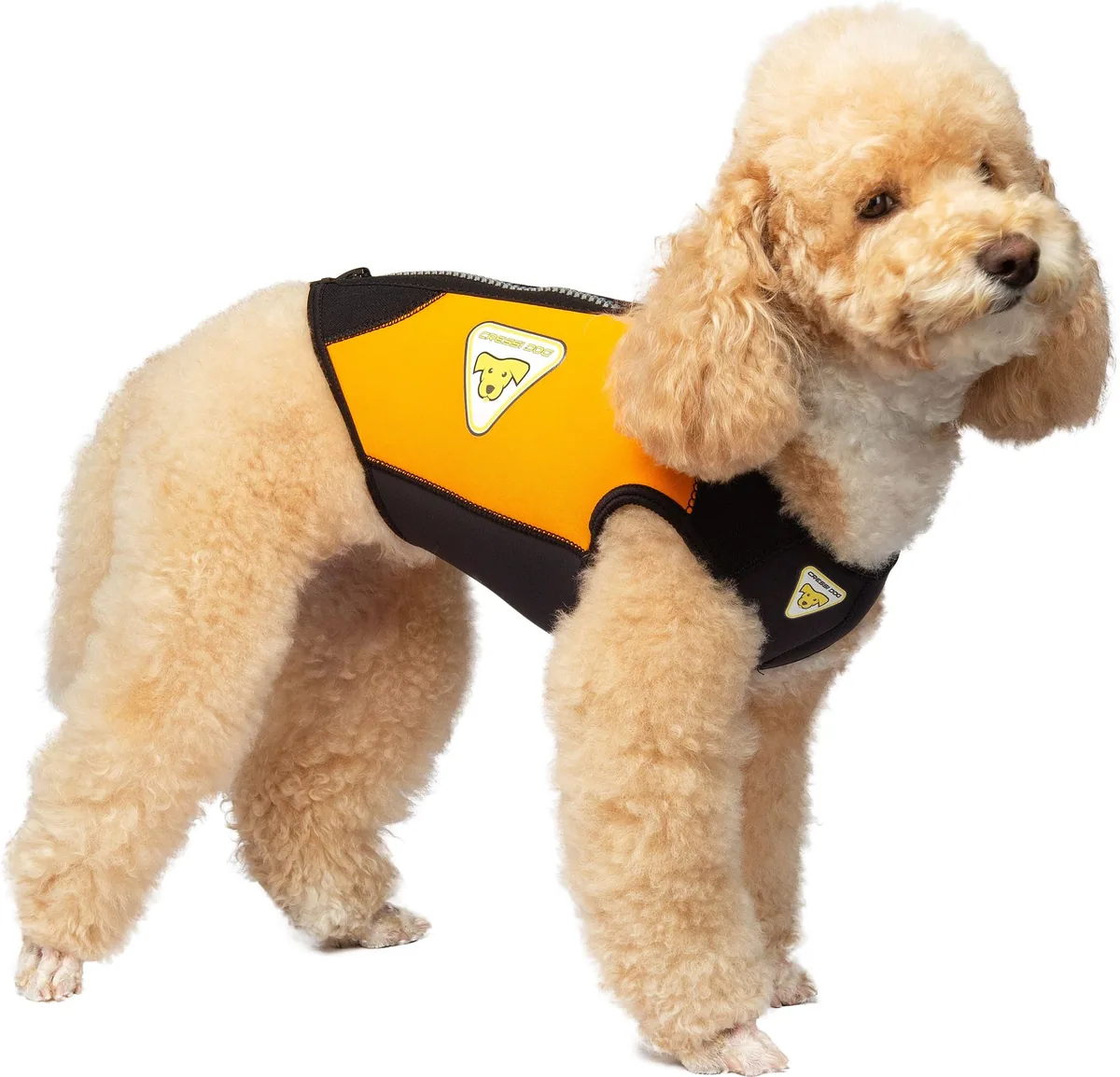 Cressi DWS Dog 3mm Wetsuit [2XS, combinaisons humides – vue 3
