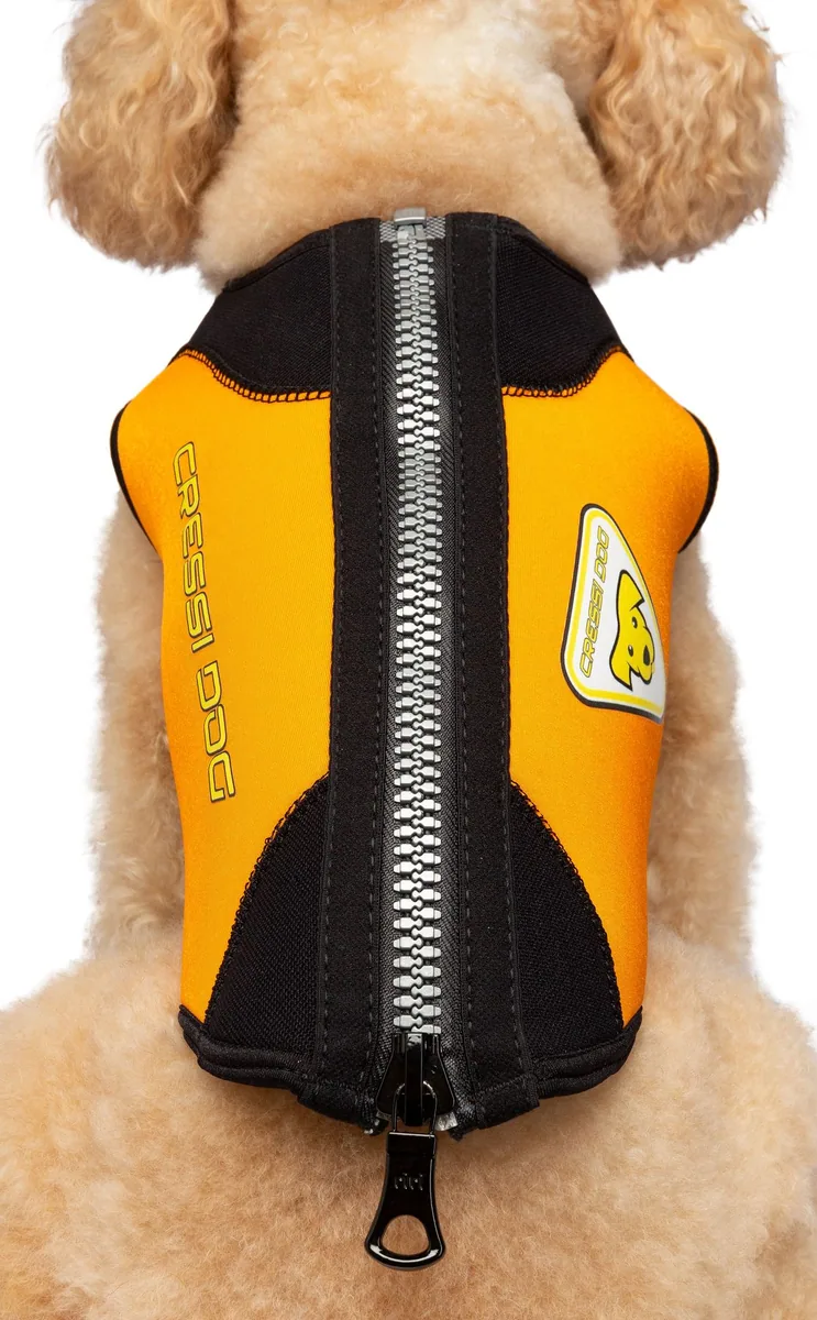 Cressi DWS Dog 3mm Wetsuit [2XS, combinaisons humides – vue 4