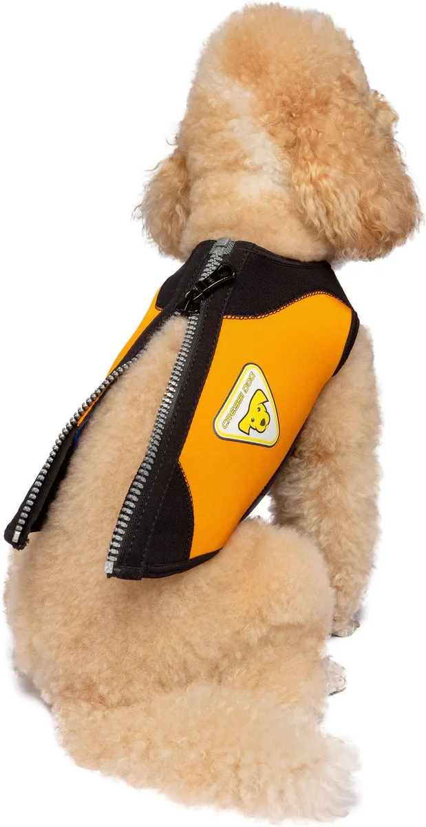 Cressi DWS Dog 3mm Wetsuit [2XS, combinaisons humides – vue 5