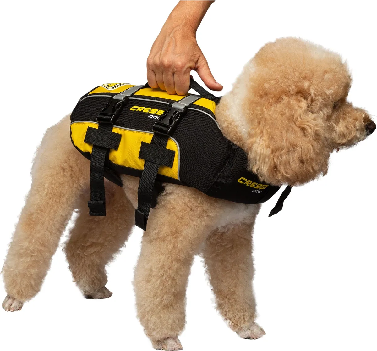 Cressi DLJ Dog Life Jacket, gilets classiques – vue 5