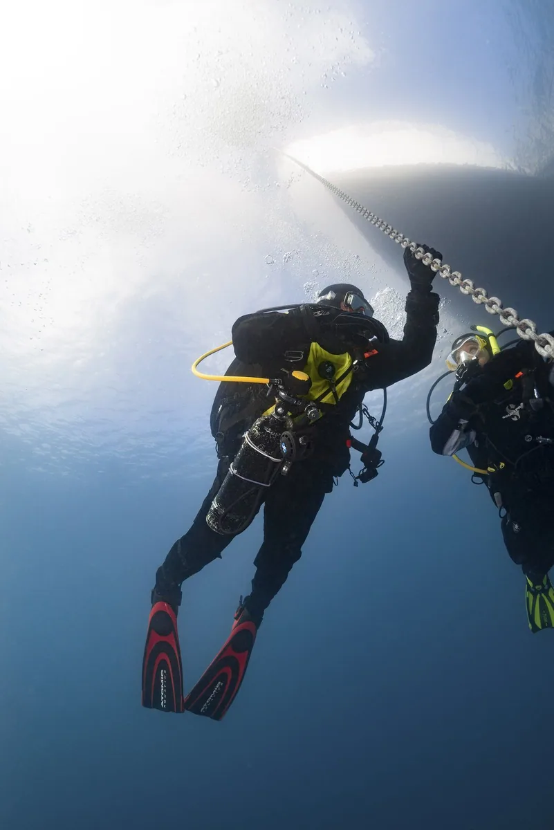 PADI Digital - Dry Suit Diver Video - Student Edition, Trockenanzug