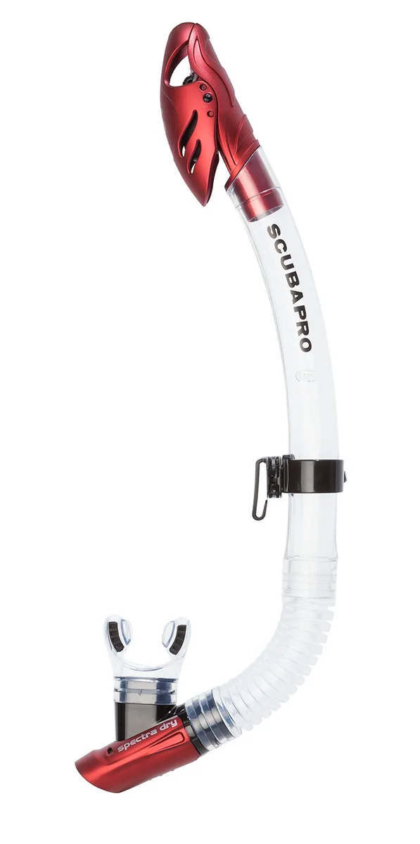 Scubapro Spectra Dry Schnorchel